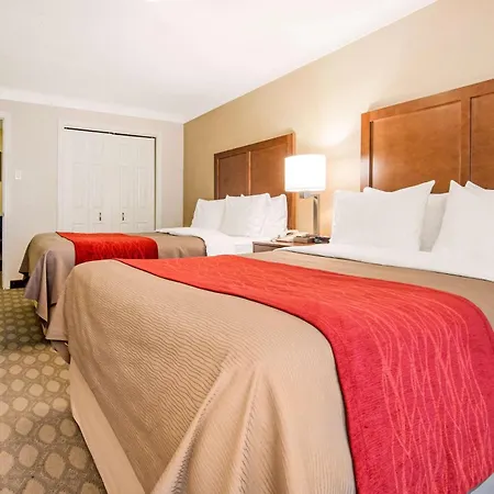 Comfort Inn Fallsview-3